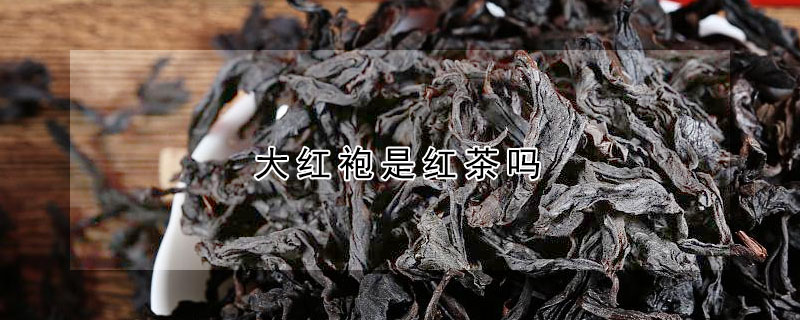 大红袍是红茶吗